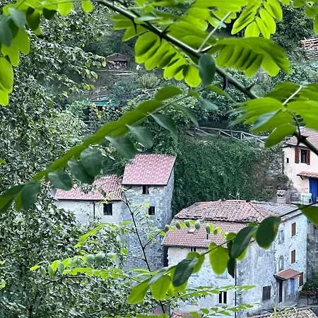 Holiday home Casa Alamanda Fornovolasco